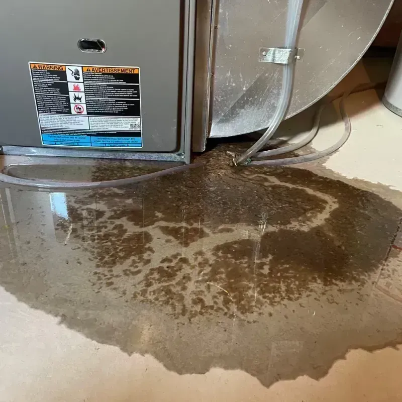 Appliance Leak Cleanup in Many Farms, AZ